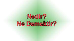 Tazi Av Kopegi Nedir Bulmaca Sozlugu Biymed Online Egitimler