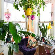 Typical applications include hangers and supports, cross bracing and truss stiffening elements. Hanging Plants From Tension Rod Renters Solution Apartment Therapy