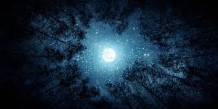 5,651 Beautiful Night Sky Full Of Stars Stock Photos, Pictures &  Royalty-Free Images - iStock