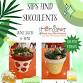 Sips & Succulents