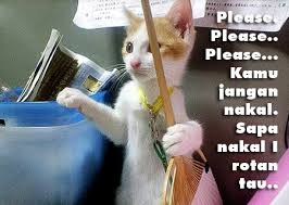 We did not find results for: Awak Sangat Nakal Home Facebook