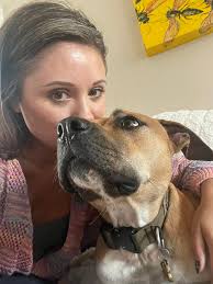 Dog trainer recommendations for pit bull introduction