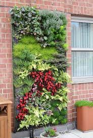 Vertikaler garten für gemüse selber machen. Ein Vertikaler Garten Selber Bauen Schritt Fur Schritt Anleitung Garten Haus Garten Wandverkleidung Zenideen Vertikaler Garten Wandgarten Pflanzen