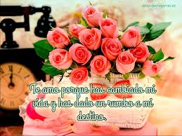 Flores Hermosas Con Frases De Amor Para Tu Pareja Hola Mis Flickr