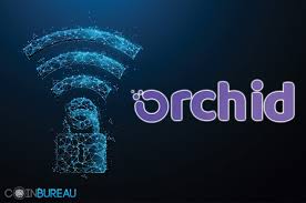 Orchid Oxt Review What You Need To Know Beginners Guide