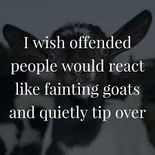 But the rest offended her—and inarguably, because it wasn't a gesture but an emotion. Funny Quotes Funny Pictures Funny Quotes Offended People The Love Quotes Looking For Love Quotes Top Rated Quotes Magazine Repository We Provide You With Top Quotes From Around The World