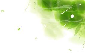 ✓ free for commercial use ✓ high quality images. Green Abstract Wallpaper 27598 Px White And Green Backgrounds 1920x1200 Wallpaper Teahub Io