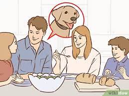 Jun 09, 2021 · to convince your parents to get a dog, you can start by pointing out the benefits of dog ownership, such as companionship and love. 3 Ways To Persuade Your Parents To Get A Dog Wikihow