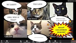 We did not find results for: Video Conference Call Cat Dankest Meme Compilation Funny Laugh Best Youtube
