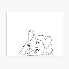 Dog portrait raspberry art print. French Bulldog Line Art Drawing Photographic Print By Odyanne Redbubble