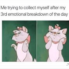 See more of parenting memes to prevent mental breakdowns on facebook. Dopl3r Com Memes Me Trying To Collect Myself After My 3rd Emotional Breakdown Of The Day U