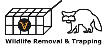 When it starts to get cold, the warmth from a chimney is an attractive place for animals to build a nest, as well as spring time when wildlife pests are looking for a safe place to hide their young. Residential Wildlife Removal Oh Varment Guard Wildlife Services