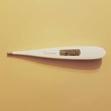 食事で体温を上げる方法 ぺたんこお腹 健康 体温を上げる