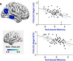 Scholarships for students who have overcome significant obstacles to pursue their education. Distinct Individual Differences In Default Mode Network Connectivity Relate To Off Task Thought And Text Memory During Reading Scientific Reports