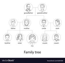 Family Tree Chart Thin Line Style Vector Image
