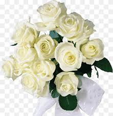 We did not find results for: Wedding Bouquet Png Images Pngwing
