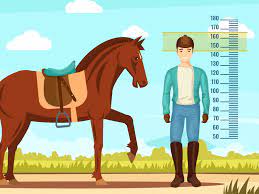 10 Things You Never Knew About Horse Jockeys Casino Org Blog