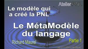 méta modèle pnl pdf