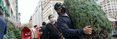 We did not find results for: Where To Buy A Christmas Tree In Nyc Streeteasy