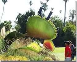 We did not find results for: Big Fly Trap Www Macj Com Br
