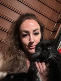 Orange and white cat missing in Auburn Street area