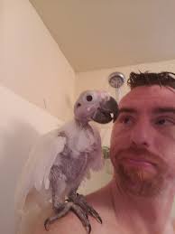 No one showers alone in our house