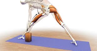 Hello Friends In This Post We Continue Our Journey Through Trikonasana Triangle Pose With A Cue That Conn Triangle Pose Yoga Anatomy Yoga Meditation Quotes