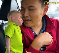 DEAR PEOPLES,,,please take your time and read what I have in mind. With the  permission of Mr. Quan, I am putting the pictures in the joint group, which  I will capture on