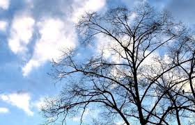 Le but de la page est de parler de la météo en ardèche. Meteo Quel Temps Va T Il Faire A Toulouse Et En Occitanie Ce Week End Actu Toulouse