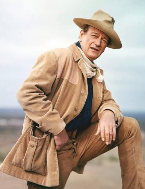 Xếp hạng những vai diễn của John Wayne từ ít đến nhiều 'chỉ là diễn chính mình' : r/Westerns