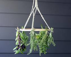 It is affordable and useful and is made from simple household items. How To Make A Macrame Herb Drying Rack How Tos Diy
