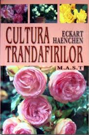 Mii de flori de un roz deosebit coloreaza un camp aflat la marginea localitatii chiheru de jos, din judetul mures. Cultura Trandafirilor Ghid Pentru Cultivarea Trandafirilor Editura M A S T