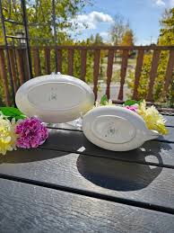 Image result for Ivory 1964 Imperial