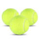 Free Tennis Balls at Dog Park event image