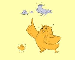 Look at all these chickens. Look At All Those Chickens Ndkjks I Had A Lot