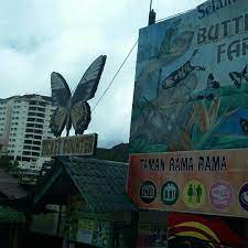 This is taman negara et cameron highland by damien on vimeo, the home for high quality videos and the people who love them. Taman Rama Rama Cameron 1 Tip