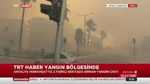 Antalya'nın manavgat ilçesinde çıkan yangında meyve ağaçları yanarken, alevler evlere ulaşmadan söndürüldü.manavgat'a bağlı karacalar mahallesi. 9qjhnz0iyffstm
