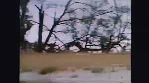 สาวนักขี่มอเตอร์ไซค์