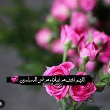 اللهم آمين يا رب العالمين rose plants flowers