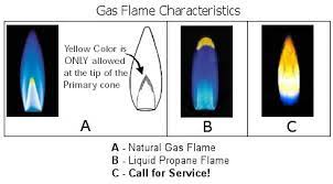 Appliance411 Faq What Should My Gas Range S Flames Look Like