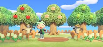 We did not find results for: 15 Acnh Orchard Designs Ideas Inspiration To Try Fandomspot
