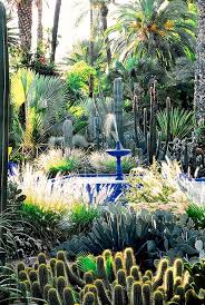 Self Care Moroccan Garden Succulent Landscape Design Landscape Design