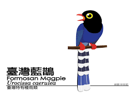 It is endemic to taiwan. 13 å°ç£è—éµ²ideas