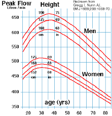 learn the basic step in taking peak expiratory flow rate