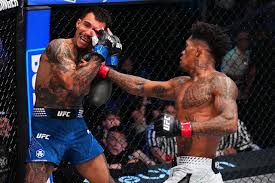UFC Vegas 119 video: Vinicius Oliveira delivers brutal elbows to finish Andre Fili in featherweight debut