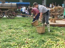 Petritegi en la Sagar Uzta 2013