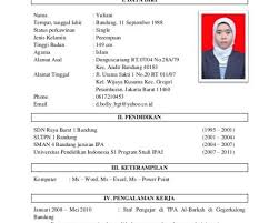 bagaimana cara membuat cv untuk dunia