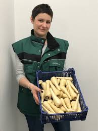 Pastinaken Ingwer Suppchen Von Daniela Merkur Frucht Homepage