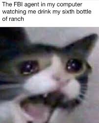 The Fbi Agent In My Computer Watching Me Drink My Sixth Bottle Of Ranch Screaming Cat Know Your Meme