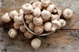 Coltivare champignon nel modo classico. Come Coltivare I Funghi In Casa Non Sprecare